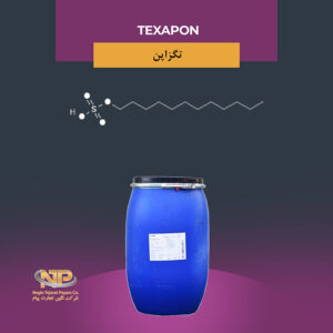 تگزاپن