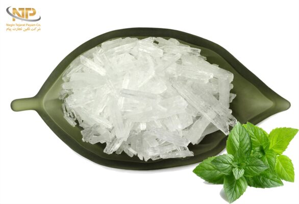 منتول