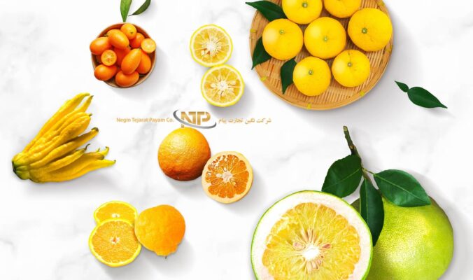 معرفی اسیدهای خوراکی